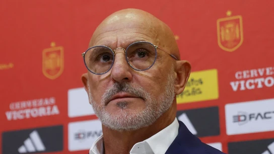 Luis de la Fuente Luis de la Fuente