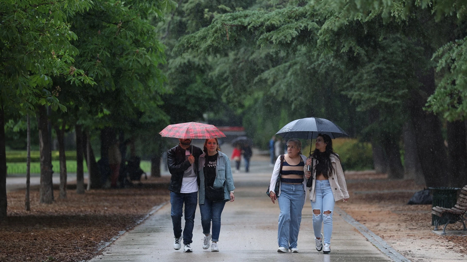 Varias personas pasean por el parque de El Retiro.