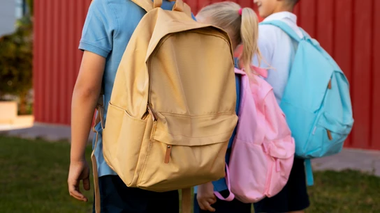Los médicos rehabilitadores revelan cuál es la mochila perfecta (y más saludable) que debería llevar tu hijo al cole Los médicos rehabilitadores revelan cuál es la mochila perfecta (y más saludable) que debería llevar tu hijo al cole
