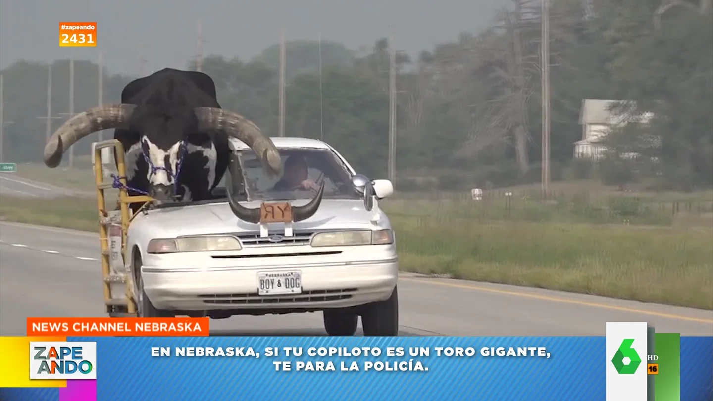 El singular copiloto que acompaña a un hombre en su coche por las carreteras de Nebraska El singular copiloto que acompaña a un hombre en su coche por las carreteras de Nebraska