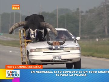 El singular copiloto que acompaña a un hombre en su coche por las carreteras de Nebraska