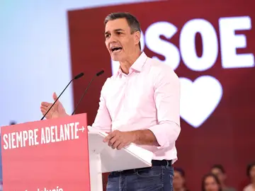 El presidente del Gobierno de España y secretario general del PSOE, Pedro Sánchez, durante un acto público de partido.