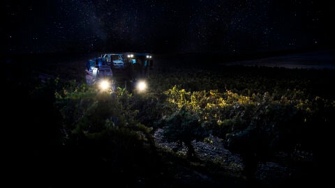 Venimia nocturna y mecanizada en la Bodega Cuatro Rayas