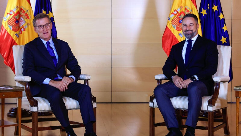Alberto Núñez Feijóo y Santiago Abascal, sonrientes durante su encuentro en el Congreso