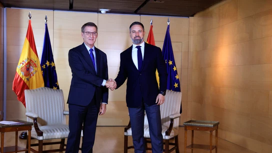 Alberto Núñez Feijóo y Santiago Abascal, durante su encuentro en el Congreso Alberto Núñez Feijóo y Santiago Abascal, durante su encuentro en el Congreso
