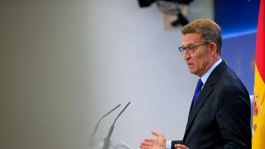 El presidente del PP, Alberto Núñez Feijóo El presidente del PP, Alberto Núñez Feijóo