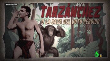 Tarzánchez y la caza del voto perdido: así va la búsqueda de apoyos de Sánchez y Feijóo 