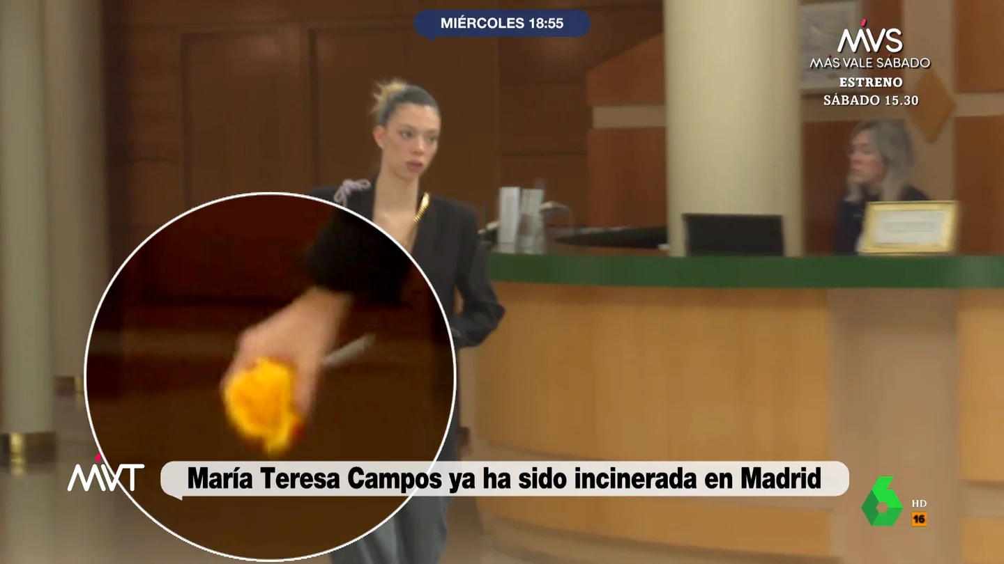 El significado de la flor amarilla que portaba Alejandra Rubio en el velatorio de María Teresa Campos El significado de la flor amarilla que portaba Alejandra Rubio en el velatorio de María Teresa Campos