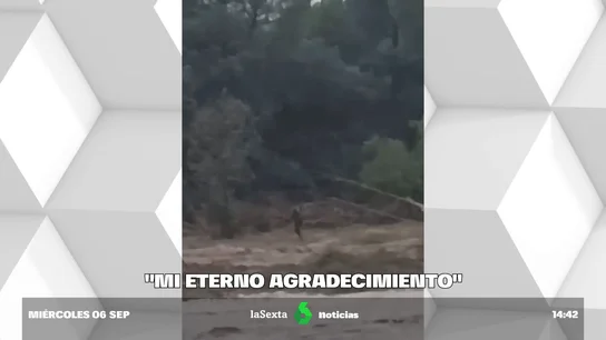 carta madre Izan carta madre Izan