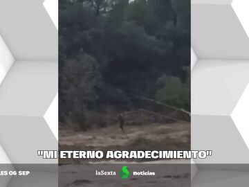 carta madre Izan