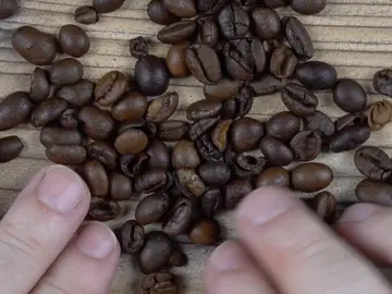 Café en grano Café en grano