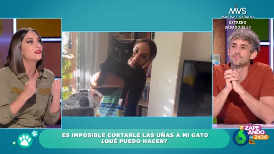 El veterinario Víctor Algra explica a Maya Pixelskaya cómo cortar las uñas a su gato cuando no se deja El veterinario Víctor Algra explica a Maya Pixelskaya cómo cortar las uñas a su gato cuando no se deja