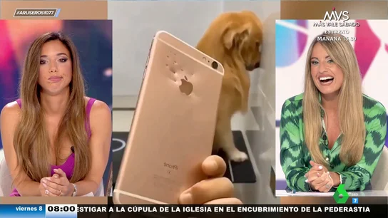 Así trata de disimular un perro tras romper el móvil de su dueño cuando él no lo veía Así trata de disimular un perro tras romper el móvil de su dueño cuando él no lo veía