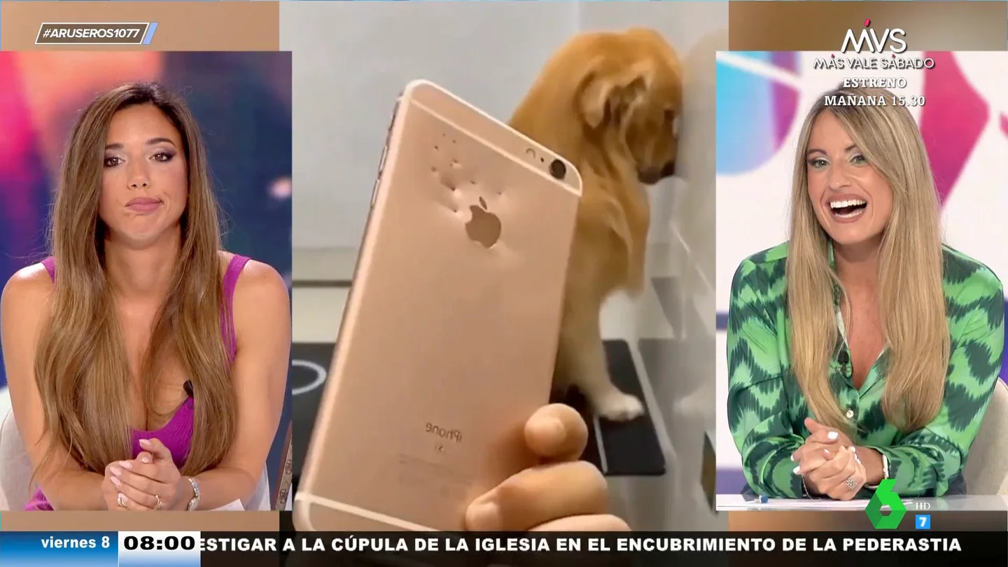 Así trata de disimular un perro tras romper el móvil de su dueño cuando él no lo veía Así trata de disimular un perro tras romper el móvil de su dueño cuando él no lo veía