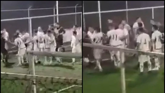 Salvaje pelea en México Salvaje pelea en México