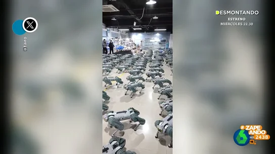 Las imágenes de las mascotas del futuro que inquietan a Dani Mateo: "Parece un ejército preparado para atacar a la humanidad" Las imágenes de las mascotas del futuro que inquietan a Dani Mateo: "Parece un ejército preparado para atacar a la humanidad"