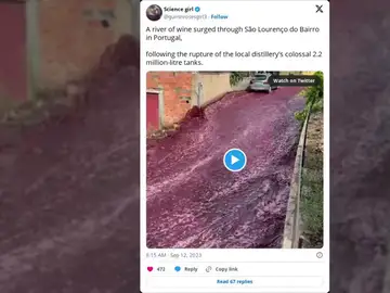 Un pequeño pueblo de Portugal se inunda accidentalmente con más de 2 millones de litros de vino tinto