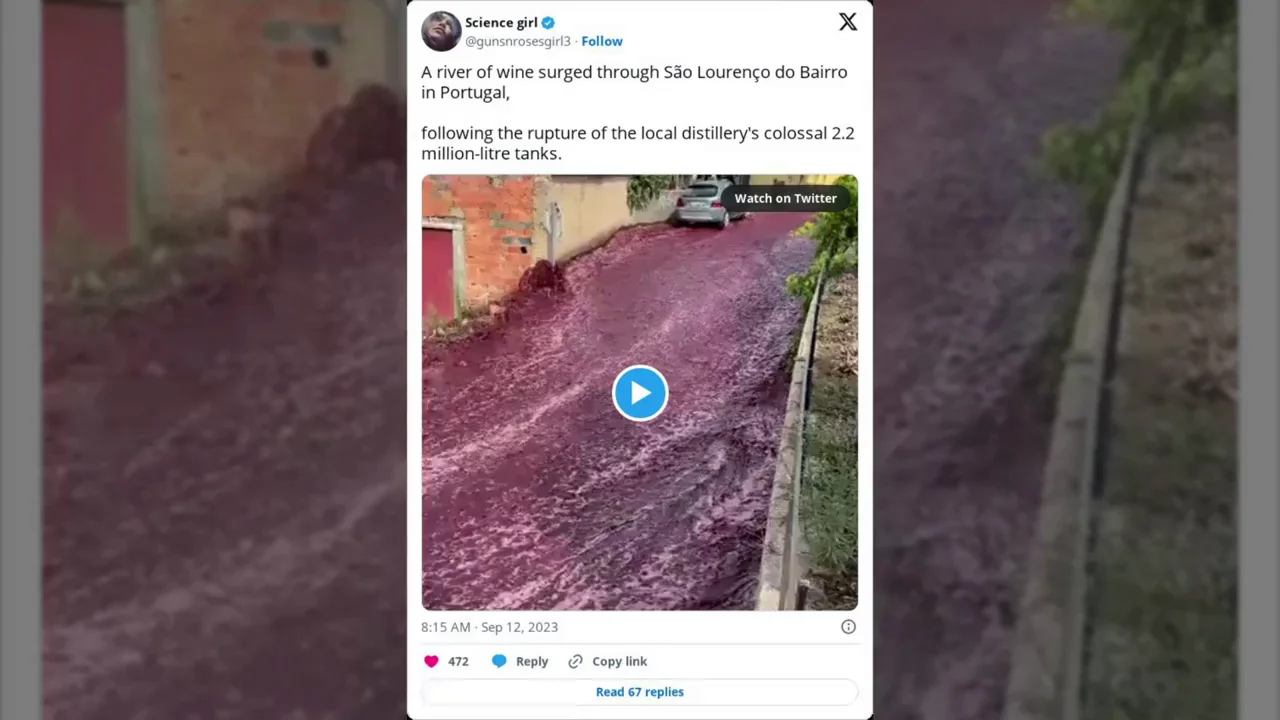 Un pequeño pueblo de Portugal se inunda accidentalmente con más de 2 millones de litros de vino tinto Un pequeño pueblo de Portugal se inunda accidentalmente con más de 2 millones de litros de vino tinto