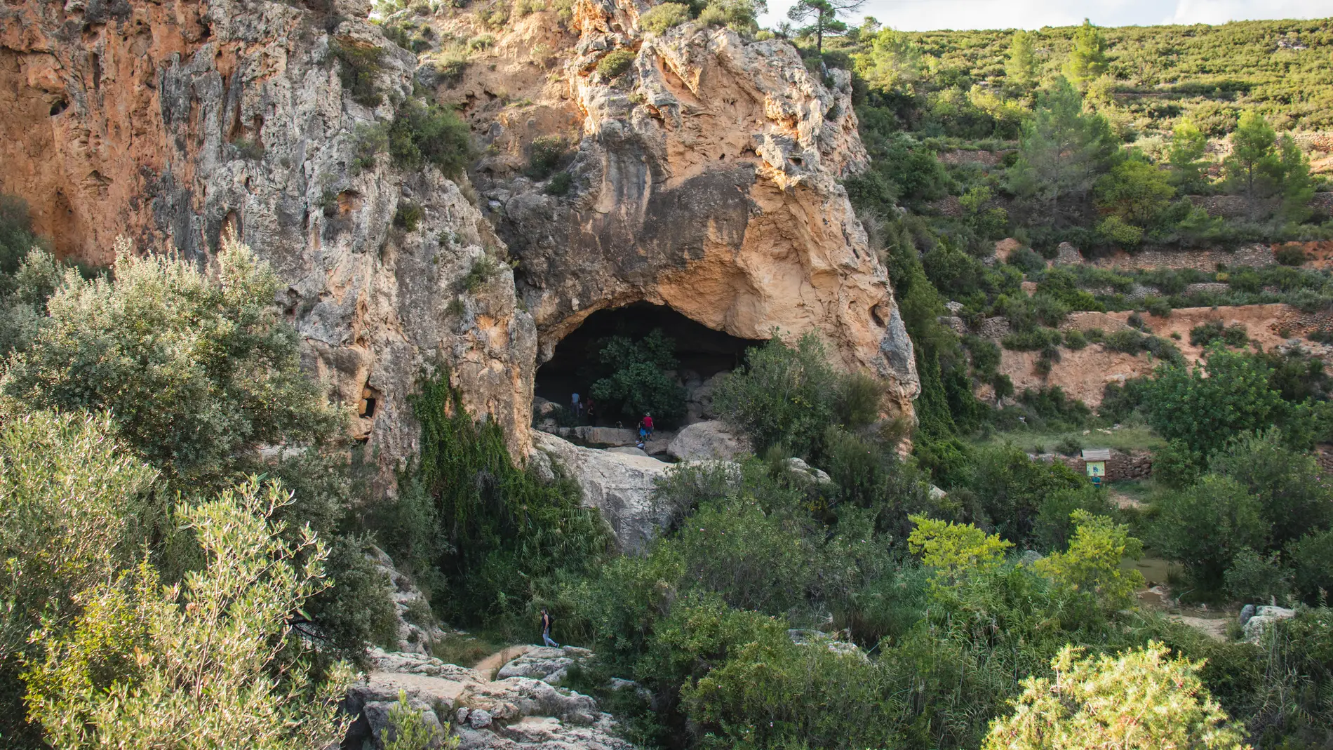 Cueva de las Palomas, en Valencia