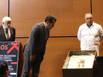 A ufologist presents bodies of non-human beings in the Mexican Congress and asks to recognize extraterrestrial life