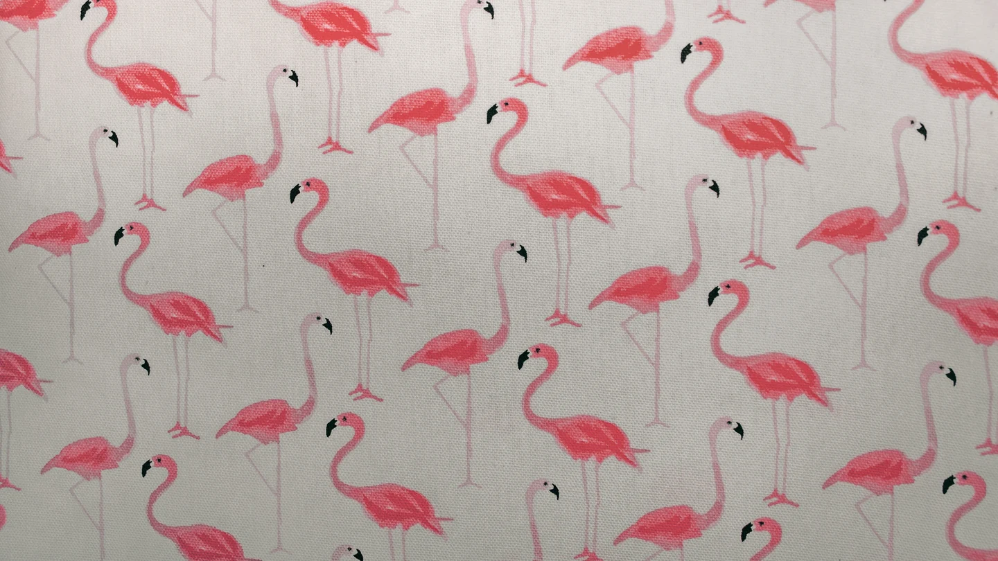 Un precioso papel pintado con flamencos sobre una pared, aunque no sabemos si detrás hay gotelé. Un precioso papel pintado con flamencos sobre una pared, aunque no sabemos si detrás hay gotelé.