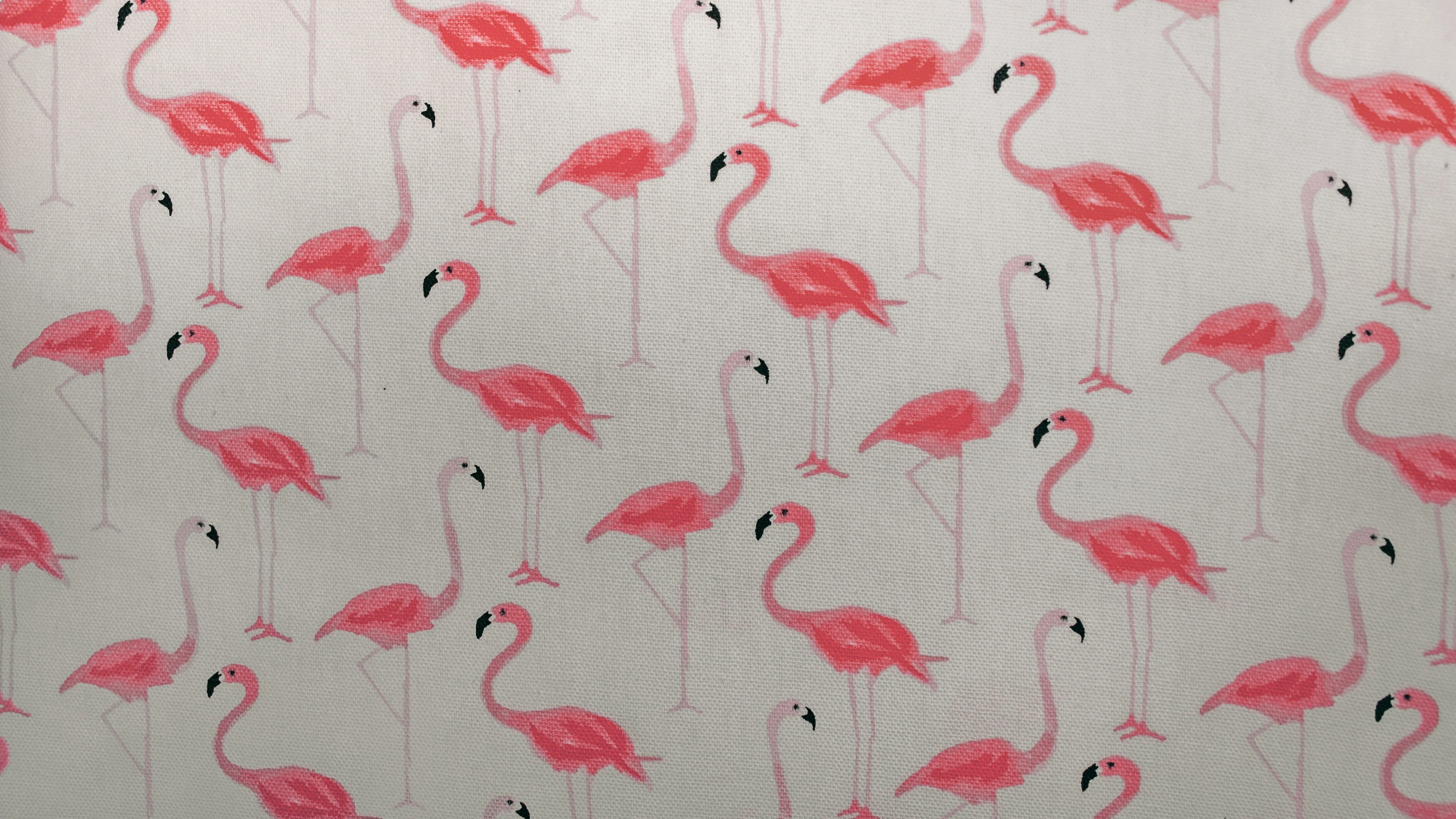 Un precioso papel pintado con flamencos sobre una pared, aunque no sabemos si detrás hay gotelé.