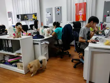 El excesivo sedentarismo está relacionado con un mayor riesgo de demencia en la tercera edad El excesivo sedentarismo está relacionado con un mayor riesgo de demencia en la tercera edad