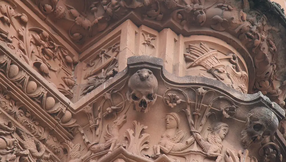 Rana en la fachada de la Universidad de Salamanca