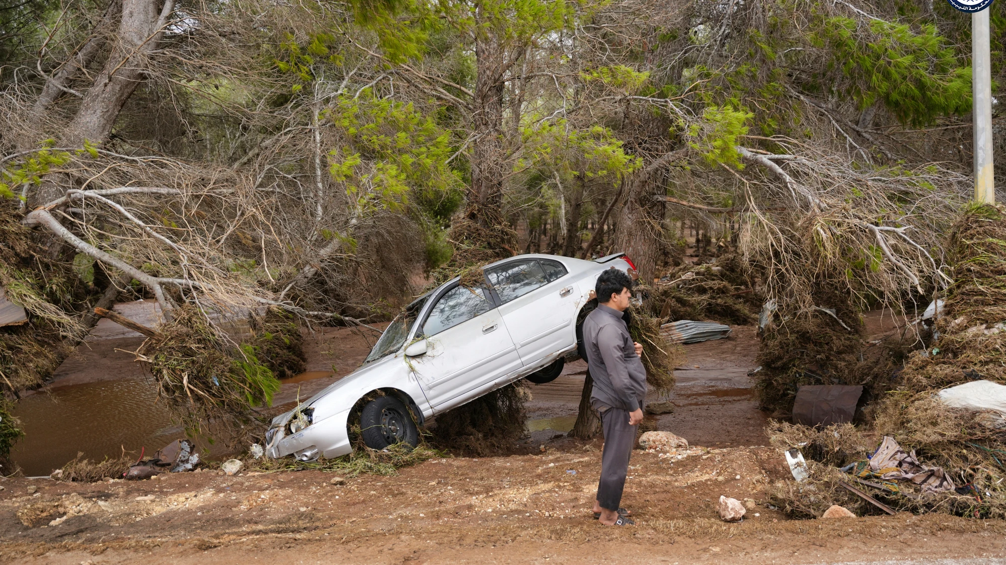 Un vehículo yace sobre un árbol después de ser arrastrado por una inundación en Derna (Libia)