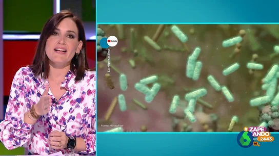 ¿Qué es el SIBO? Boticaria García apunta a un sobrecrecimiento bacteriano en el intestino ¿Qué es el SIBO? Boticaria García apunta a un sobrecrecimiento bacteriano en el intestino
