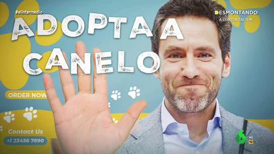 Dani Mateo Dani Mateo