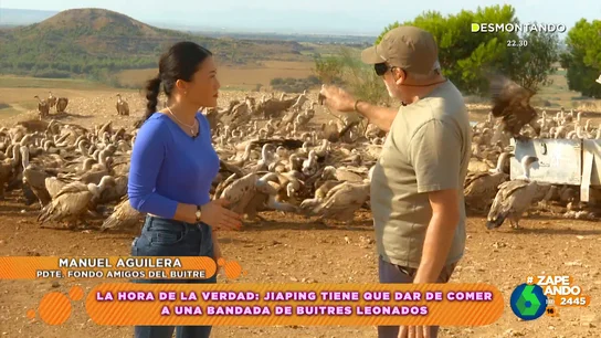Jiaping viaja hasta Huesca para alimentar a más de 1000 buitres: "Ahora para mí son buena gente" Jiaping viaja hasta Huesca para alimentar a más de 1000 buitres: "Ahora para mí son buena gente"