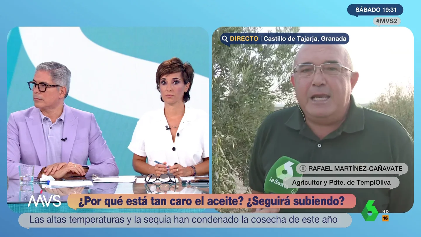 La mala noticia de un agricultor a Más Vale Sábado sobre el precio del aceite La mala noticia de un agricultor a Más Vale Sábado sobre el precio del aceite