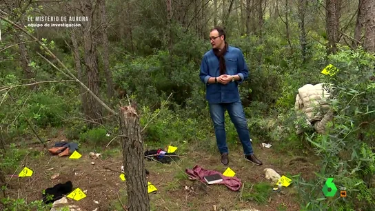 Un psicólogo criminal analiza la zona donde se encontró la ropa de Aurora Mancebo: "Es un escenario de abandono. Ella nunca estuvo aquí" Un psicólogo criminal analiza la zona donde se encontró la ropa de Aurora Mancebo: "Es un escenario de abandono. Ella nunca estuvo aquí"