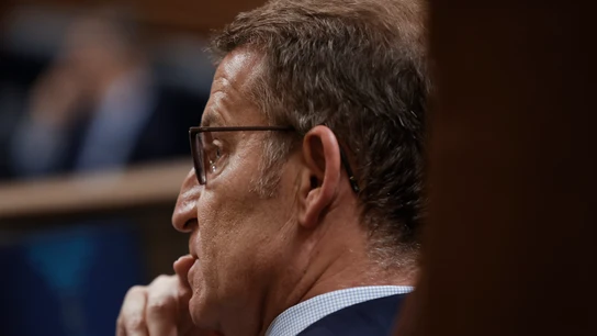 Alberto Núñez Feijóo, pensativo en el Congreso de los Diputados Alberto Núñez Feijóo, pensativo en el Congreso de los Diputados