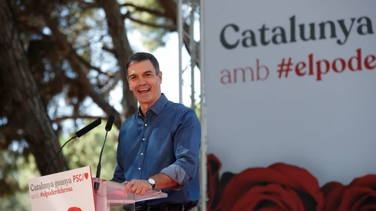 Pedro Sánchez interviene durante la Fiesta de la Rosa del PSC Pedro Sánchez interviene durante la Fiesta de la Rosa del PSC