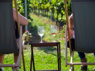 Enoturismo en Hungría Enoturismo en Hungría