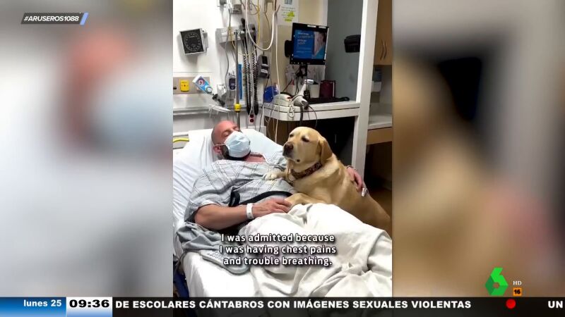 Un perro acompaña a su dueño mientras está ingresado en el hospital: "Él nunca te fallará, las personas, siempre"