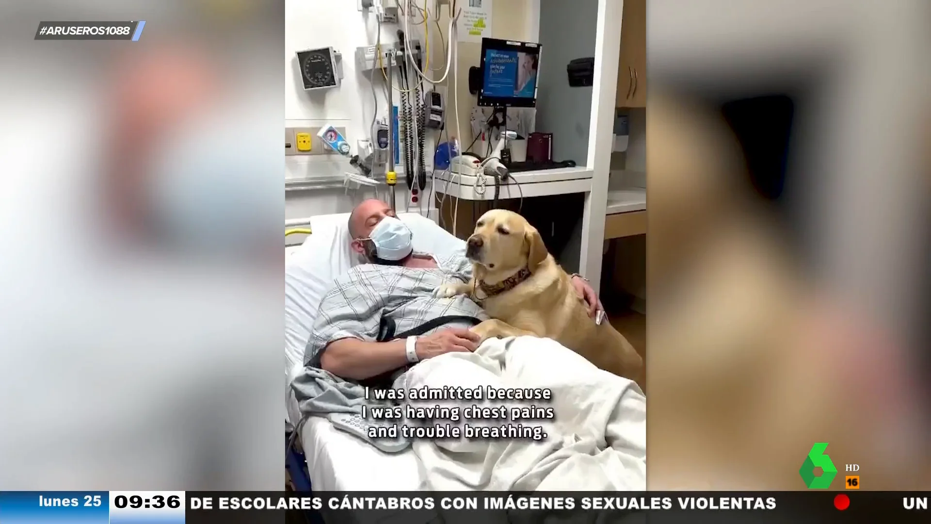 Un perro acompaña a su dueño mientras está ingresado en el hospital: "Él nunca te fallará, las personas, siempre"