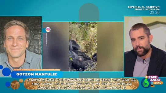 Gotzon Mantuliz cuenta su experiencia con los gorilas más grandes del mundo: "Te sientes muy vulnerable" Gotzon Mantuliz cuenta su experiencia con los gorilas más grandes del mundo: "Te sientes muy vulnerable"