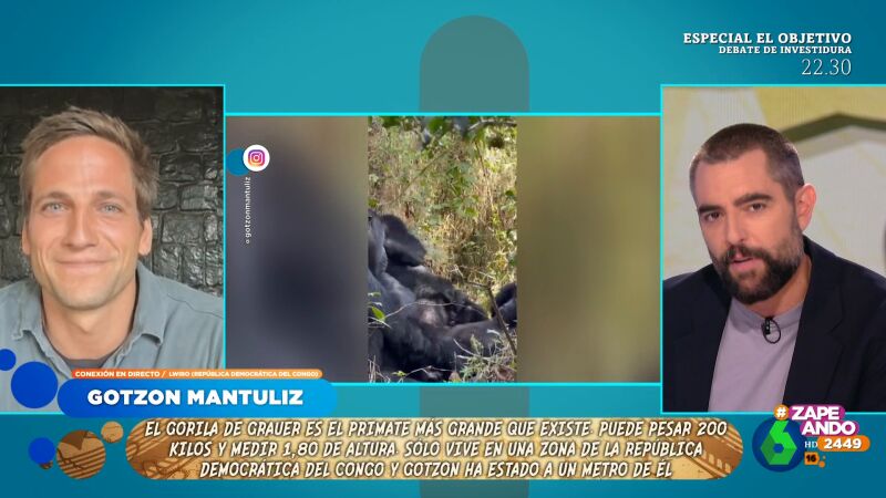 Gotzon Mantuliz cuenta su experiencia con los gorilas más grandes del mundo: "Te sientes muy vulnerable"