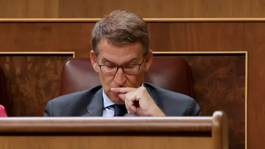 El candidato a la presidencia del Gobierno y líder del PP, Alberto Núñez Feijóo El candidato a la presidencia del Gobierno y líder del PP, Alberto Núñez Feijóo