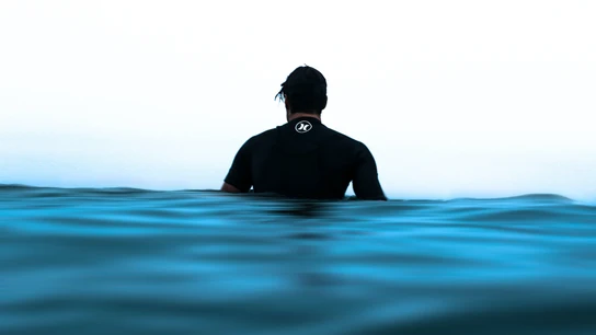 Dónde hay piojos de mar en España y cómo se cura su picadura Dónde hay piojos de mar en España y cómo se cura su picadura