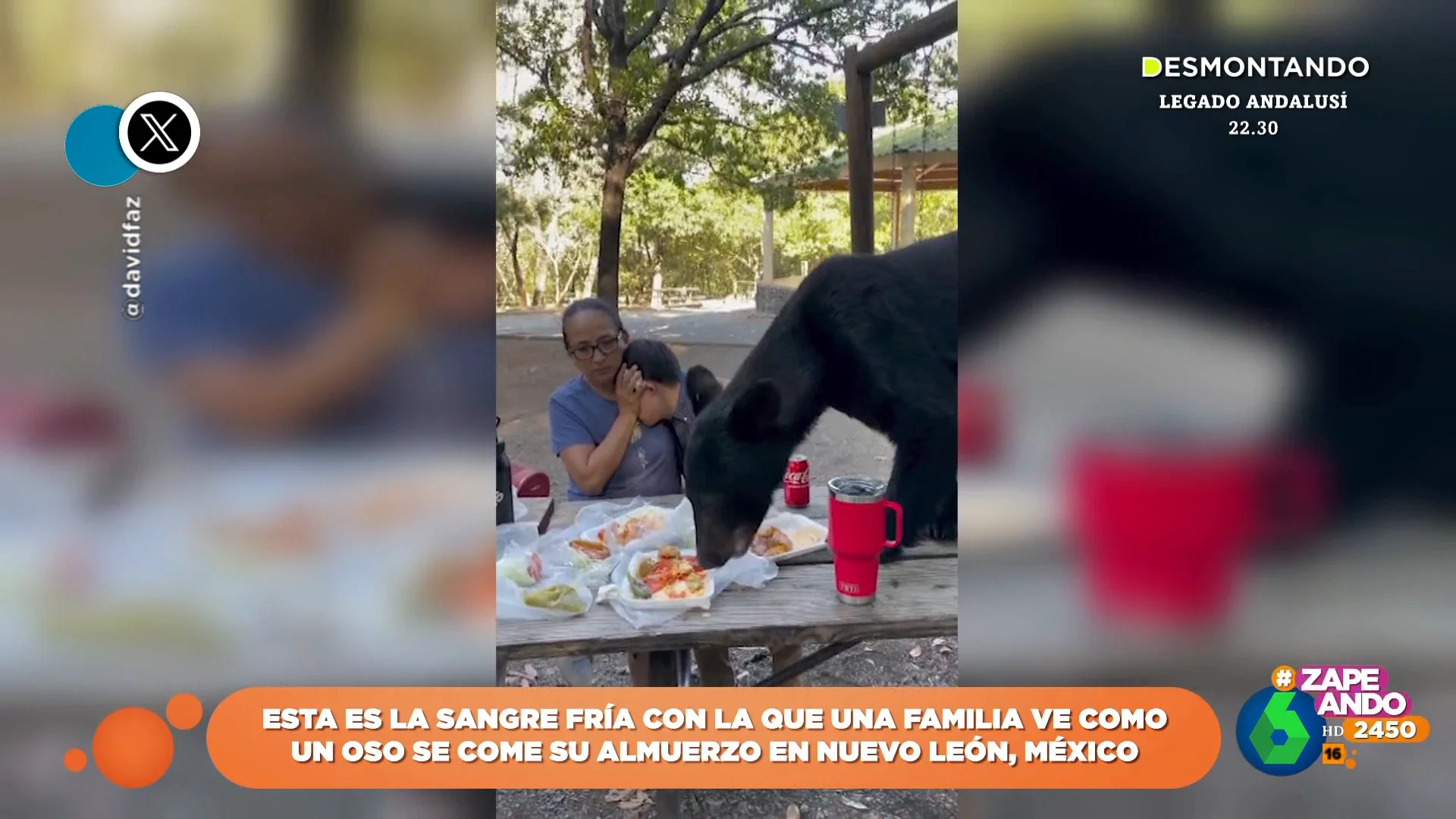 La "sangre fría" con la que una familia contempla cómo un oso se come su almuerzo frente a ellos