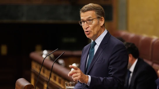 Alberto Núñez Feijóo, antes de la segunda votación de su debate de investidura Alberto Núñez Feijóo, antes de la segunda votación de su debate de investidura