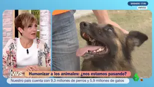 Sara Escudero condena a quienes visten a sus perros: "Sentido común" 