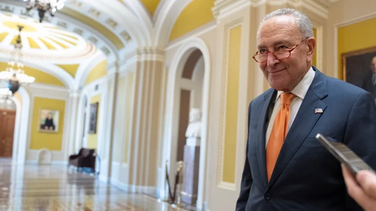 El líder de la mayoría demócrata en el Senado de EEUU, Chuck Schumer El líder de la mayoría demócrata en el Senado de EEUU, Chuck Schumer
