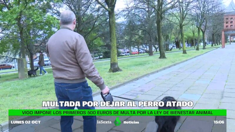 Multan a un joven en Vigo por dejar a su perro atado en el exterior de una farmacia 