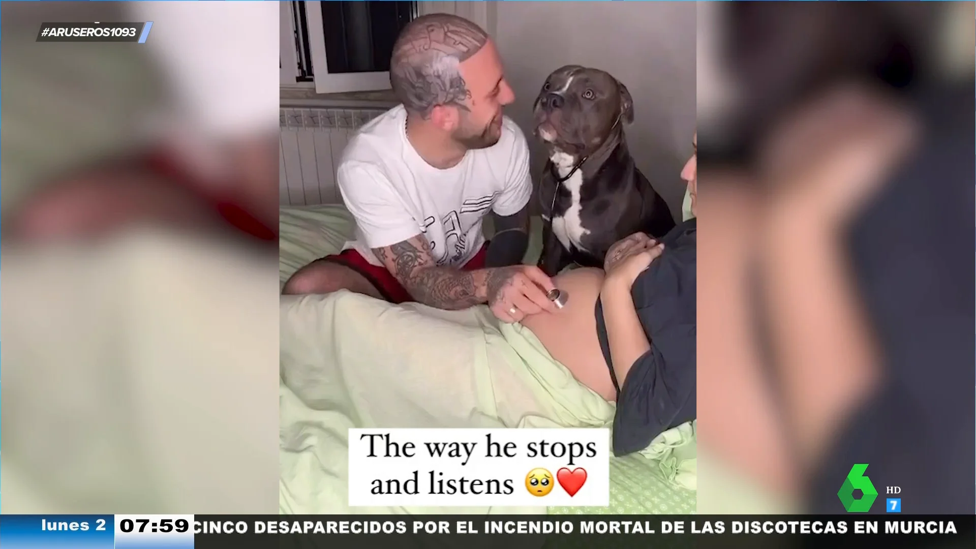 La emotiva reacción de un perro cuando escucha el latido del futuro bebé en la tripa de su dueña embarazada