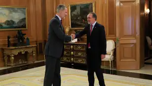 El rey Felipe VI recibe en el Palacio de La Zarzuela al líder de UPN, Javier Esparza